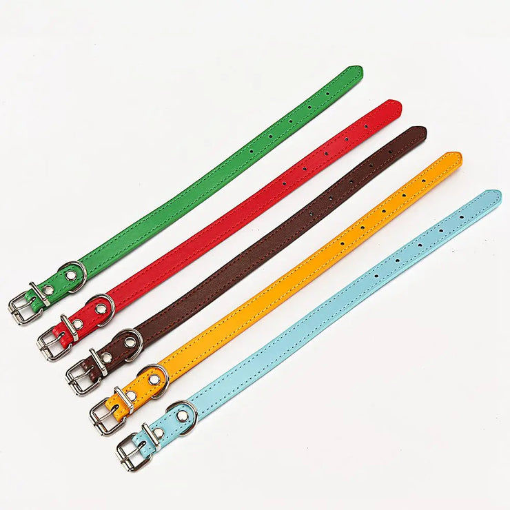 Adjustable Safety Cat & Puppy Collar – Solid Design with Leash Option