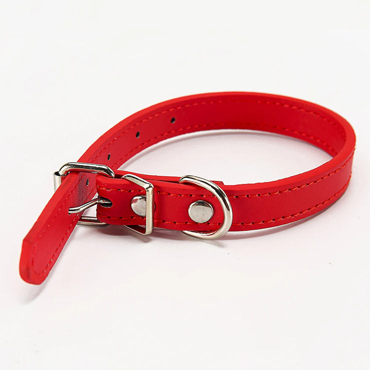 Adjustable Safety Cat & Puppy Collar – Solid Design with Leash Option