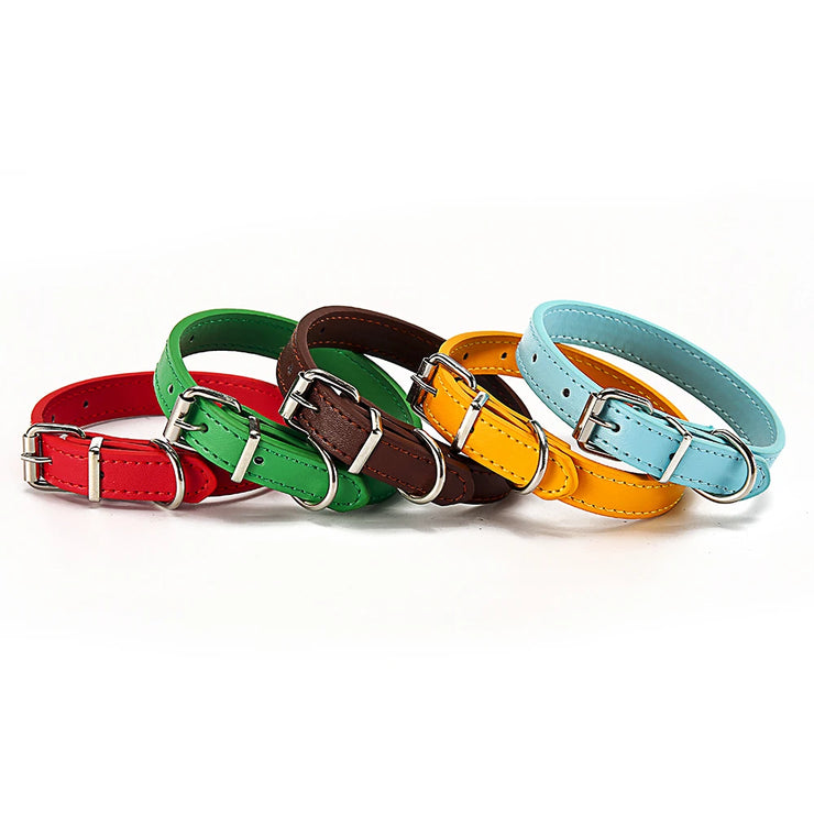Adjustable Safety Cat & Puppy Collar – Solid Design with Leash Option