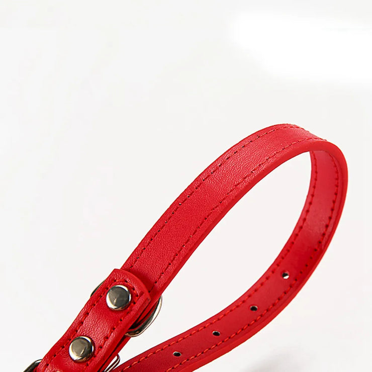 Adjustable Safety Cat & Puppy Collar – Solid Design with Leash Option