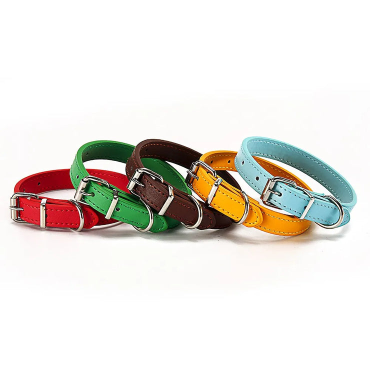 Adjustable Safety Cat & Puppy Collar – Solid Design with Leash Option