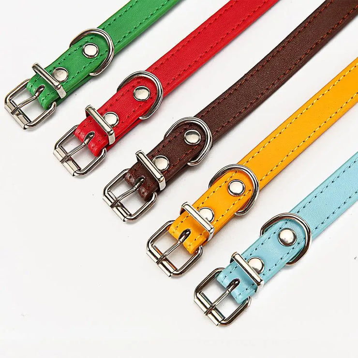 Adjustable Safety Cat & Puppy Collar – Solid Design with Leash Option