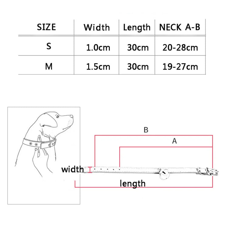 Adjustable Safety Cat & Puppy Collar – Solid Design with Leash Option
