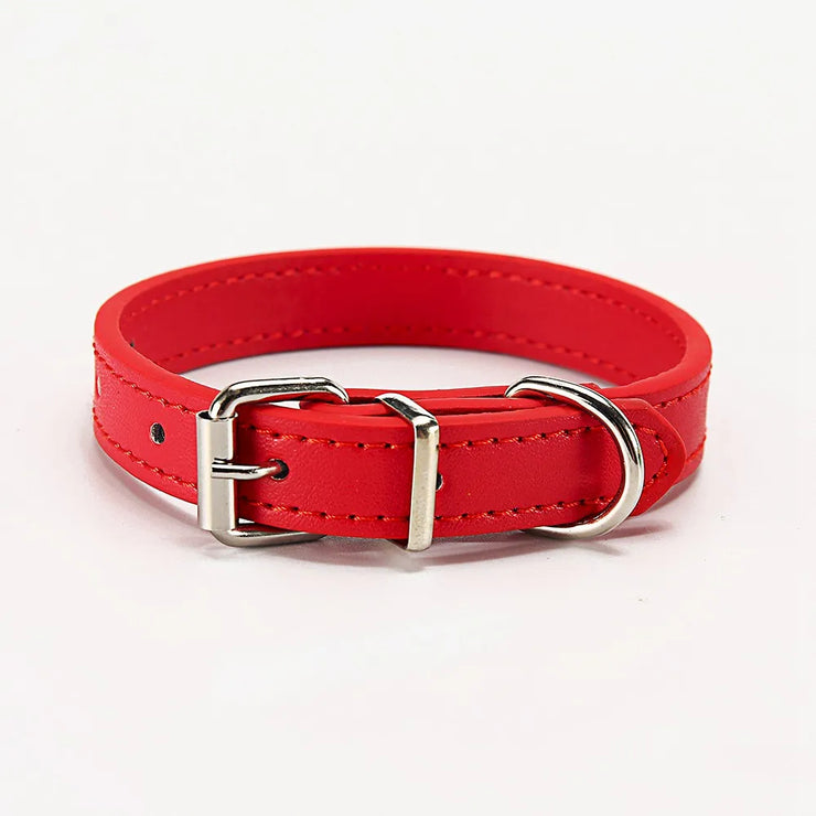 Adjustable Safety Cat & Puppy Collar – Solid Design with Leash Option
