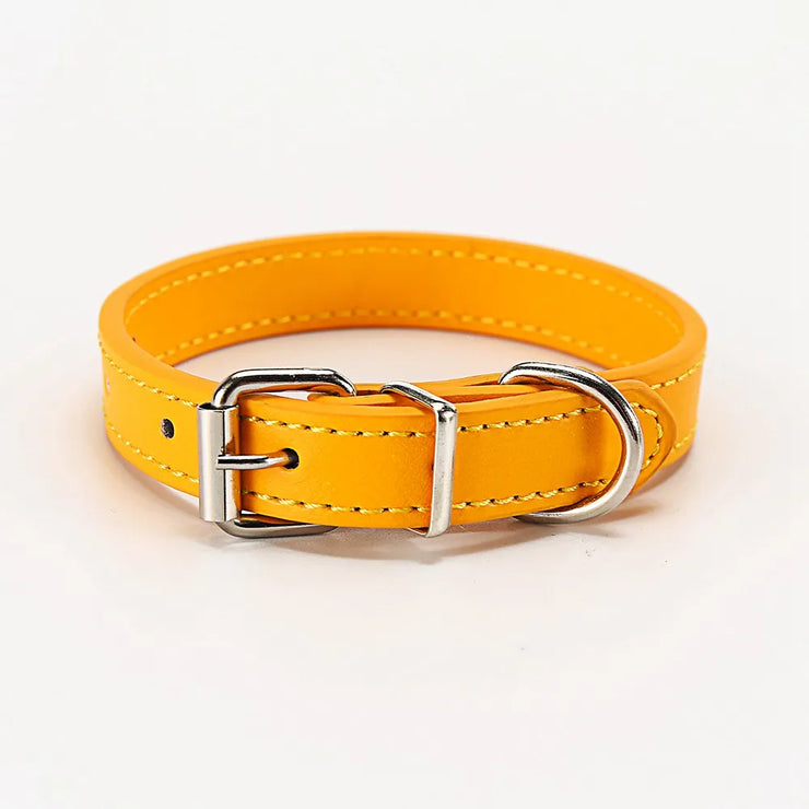 Adjustable Safety Cat & Puppy Collar – Solid Design with Leash Option