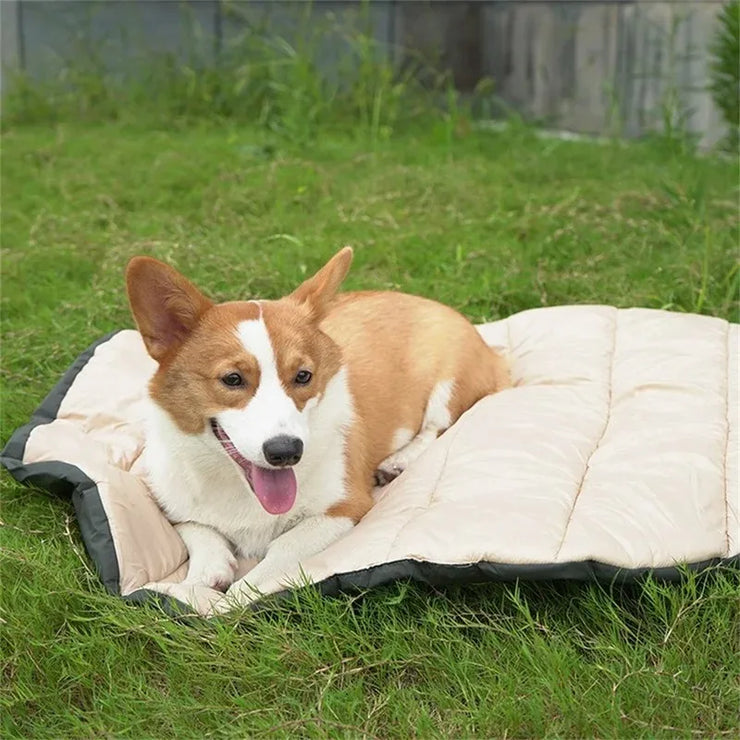 Summer Pet Bed – Cooling Mat & Sofa for Dogs & Cat