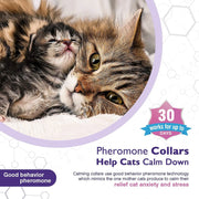 Adjustable Calming Pet Collar – Reduces Anxiety for Cats & Dogs