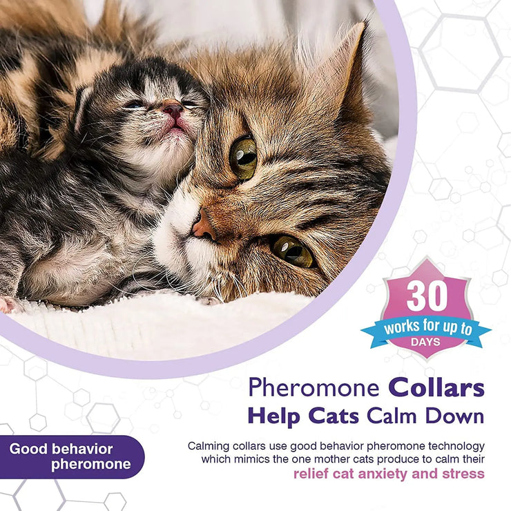 Adjustable Calming Pet Collar – Reduces Anxiety for Cats & Dogs
