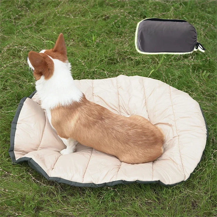 Summer Pet Bed – Cooling Mat & Sofa for Dogs & Cat