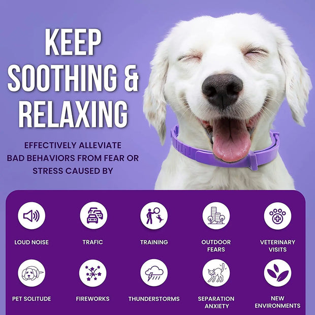 Adjustable Calming Pet Collar – Reduces Anxiety for Cats & Dogs