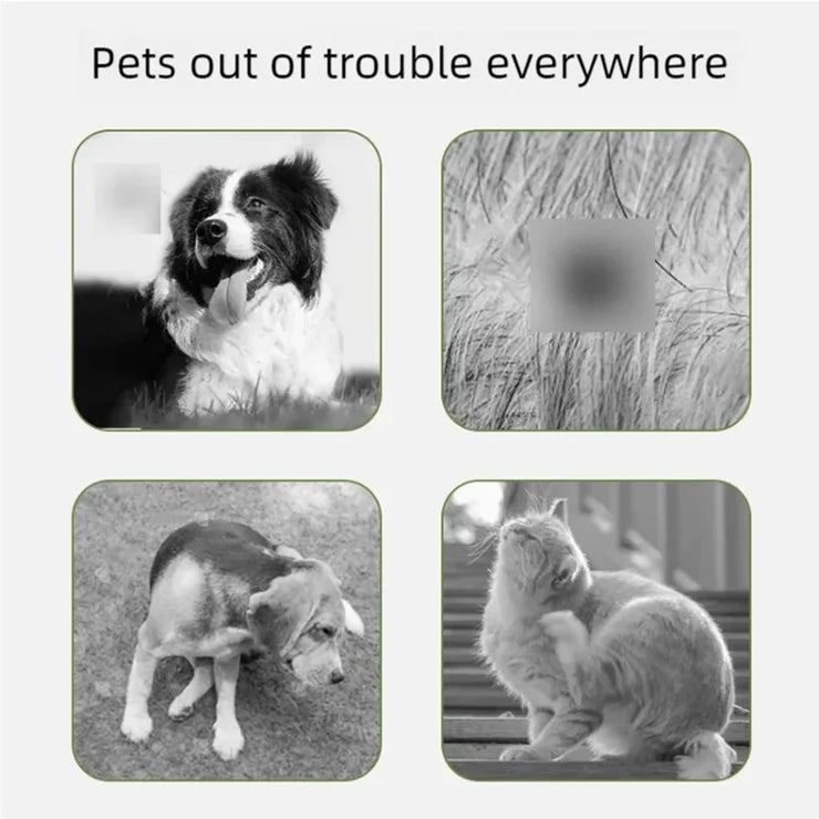 Adjustable Washable Pet Collar – Essential Oil Infused for Cats & Dogs