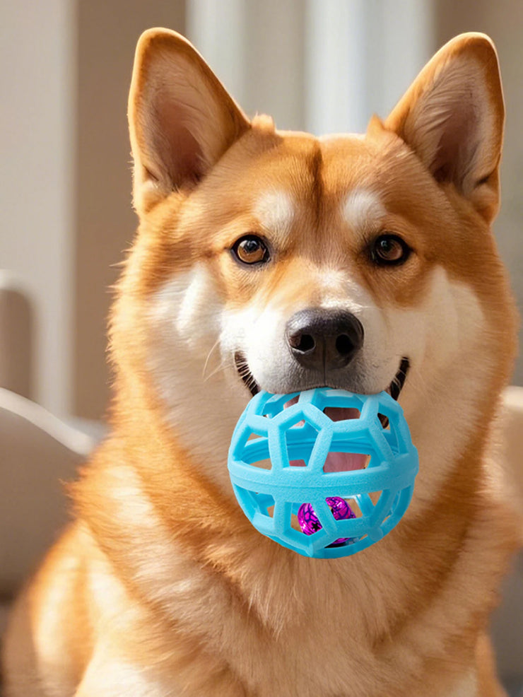 2-in-1 Dog Chew Toy Set – Bell Ball & Tri-Color Molar Ring
