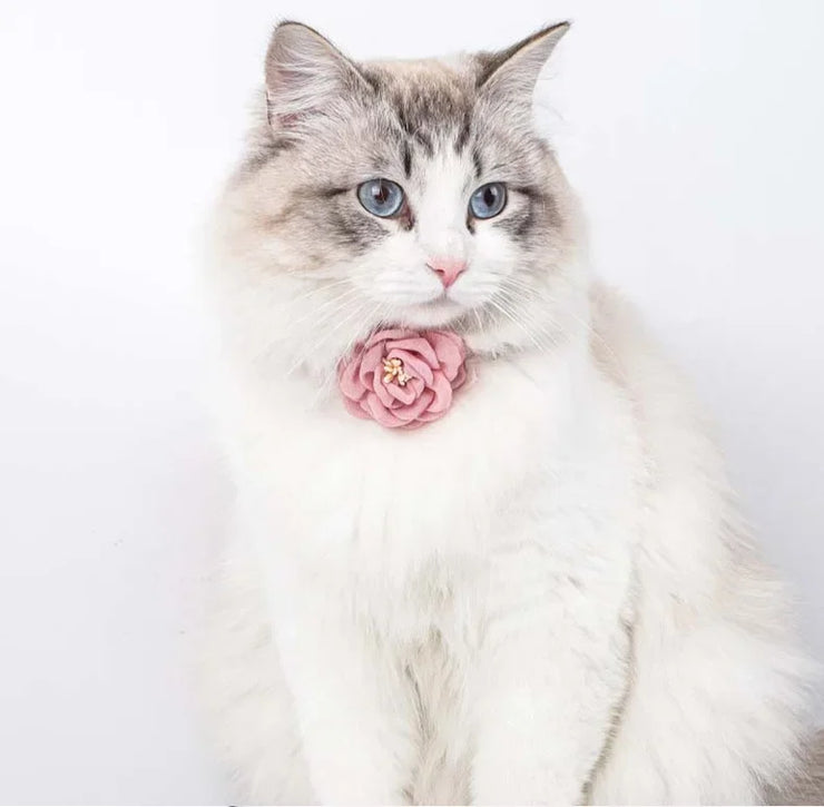 Cute Adjustable Cat & Puppy Collar – Bow Tie with Safety Button