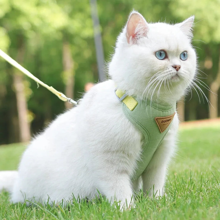 Pet Bow & Pearl Collar – Rhinestone Necklace for Cats & Small Dogs
