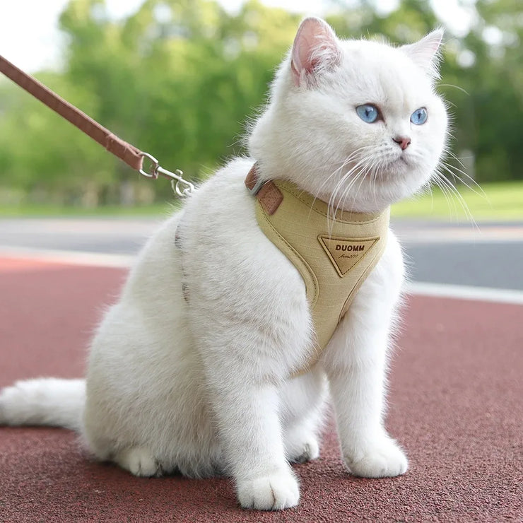 Pet Bow & Pearl Collar – Rhinestone Necklace for Cats & Small Dogs