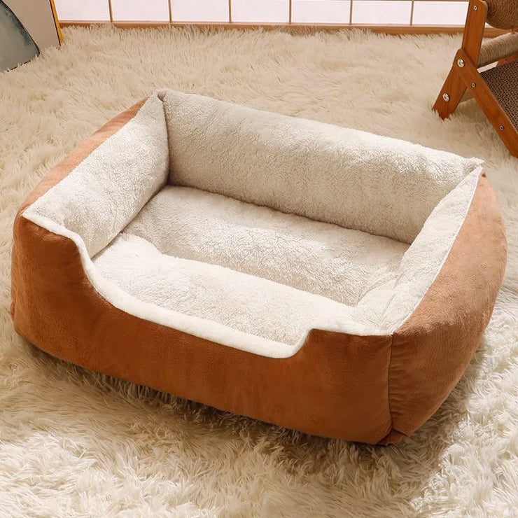 Cozy Pet Bed & Cushion – Cats, Kittens & Small Dogs