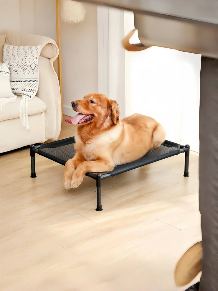 Elevated Portable Pet Bed – Foldable & Washable Cat & Dog Cot