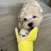 7-Piece Plush Puppy Toy Set – Chewable Fruit & Vegetable Sounds