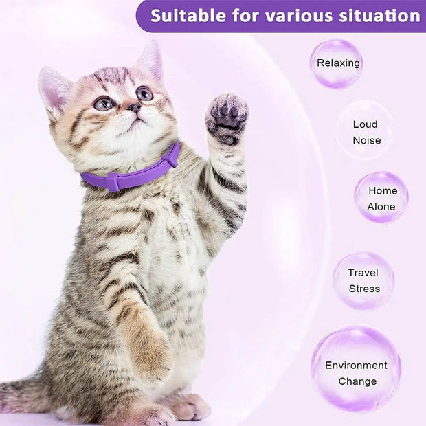 Adjustable Calming Pet Collar – Reduces Anxiety for Cats & Dogs