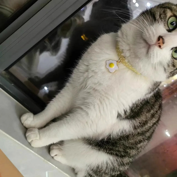 Cute Adjustable Breakaway Cat & Kitten Collar with Pendant