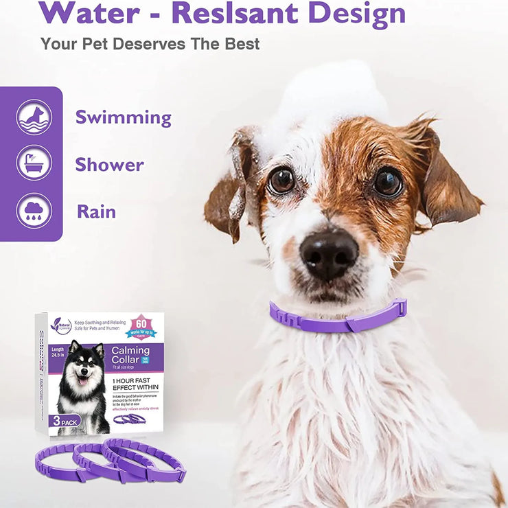 Adjustable Calming Pet Collar – Reduces Anxiety for Cats & Dogs