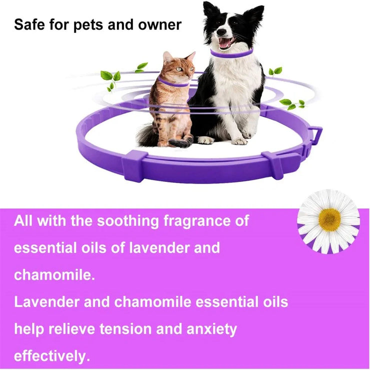Adjustable Calming Pet Collar – Anxiety-Reducing for Cats & Dogs