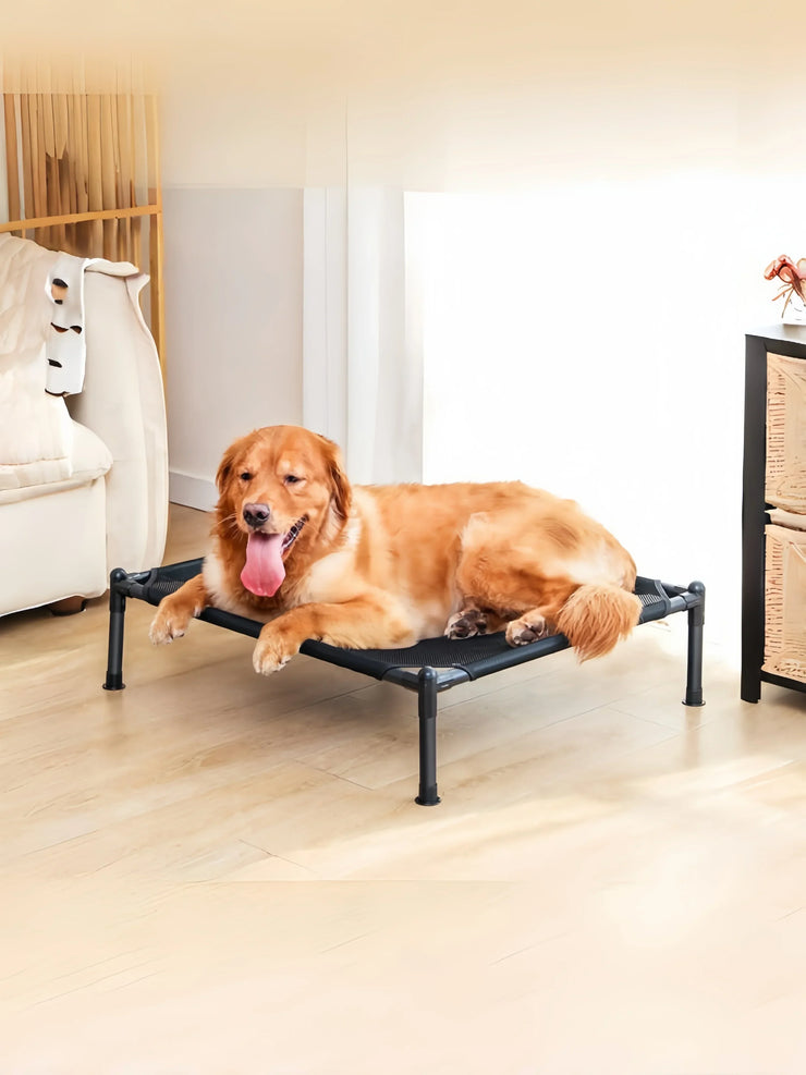 Elevated Portable Pet Bed – Foldable & Washable Cat & Dog Cot