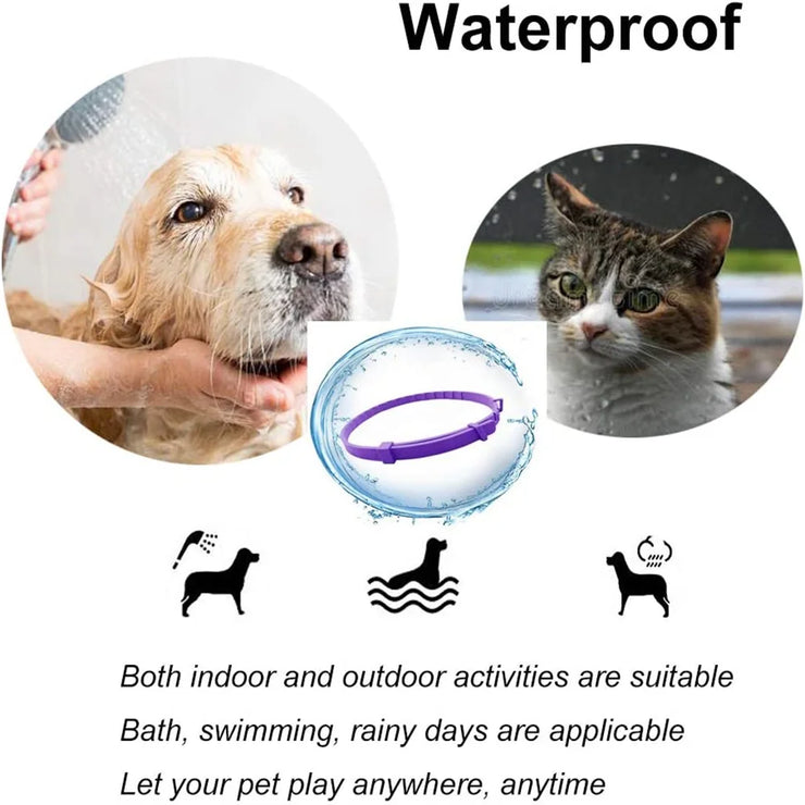 Adjustable Calming Pet Collar – Anxiety-Reducing for Cats & Dogs