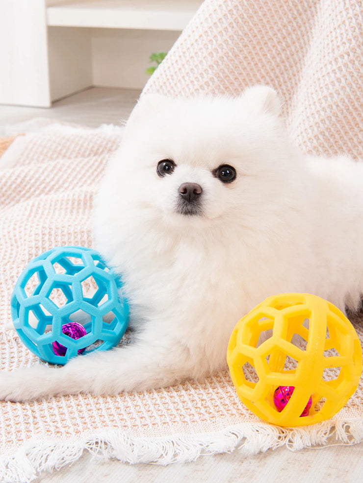 2-in-1 Dog Chew Toy Set – Bell Ball & Tri-Color Molar Ring