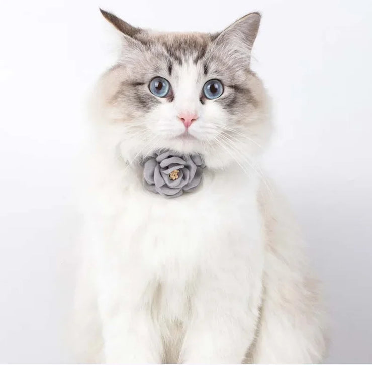 Cute Adjustable Cat & Puppy Collar – Bow Tie with Safety Button