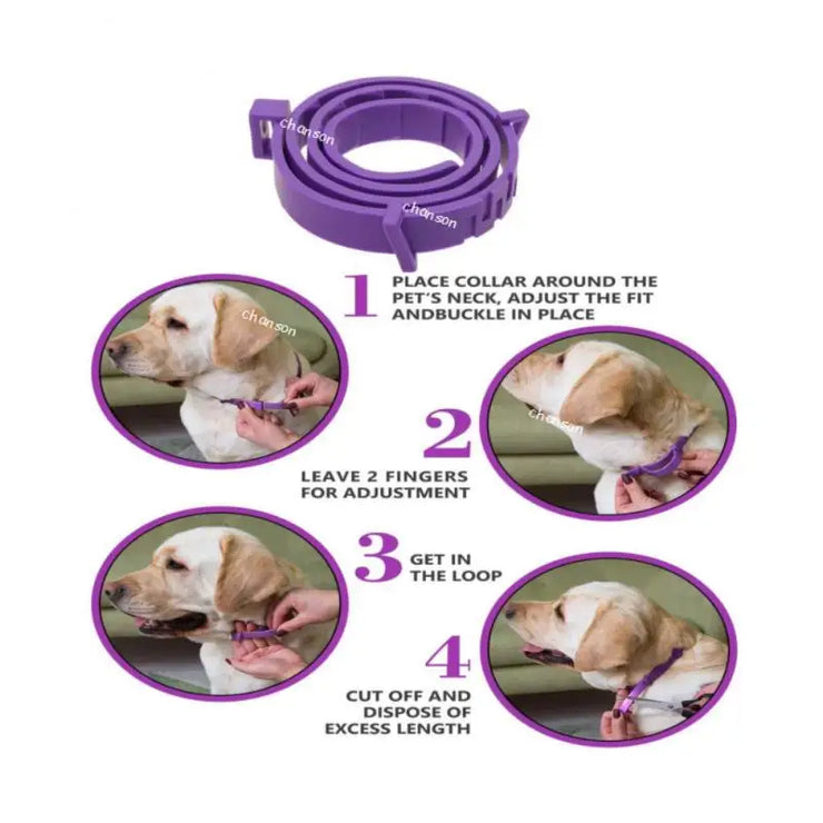 Adjustable Calming Pet Collar – Anxiety-Reducing for Cats & Dogs
