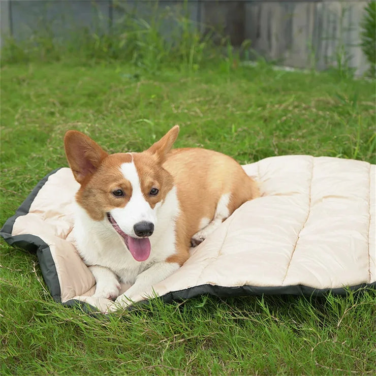 Summer Pet Bed – Cooling Mat & Sofa for Dogs & Cat