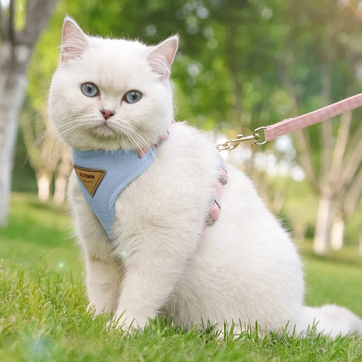 Pet Bow & Pearl Collar – Rhinestone Necklace for Cats & Small Dogs