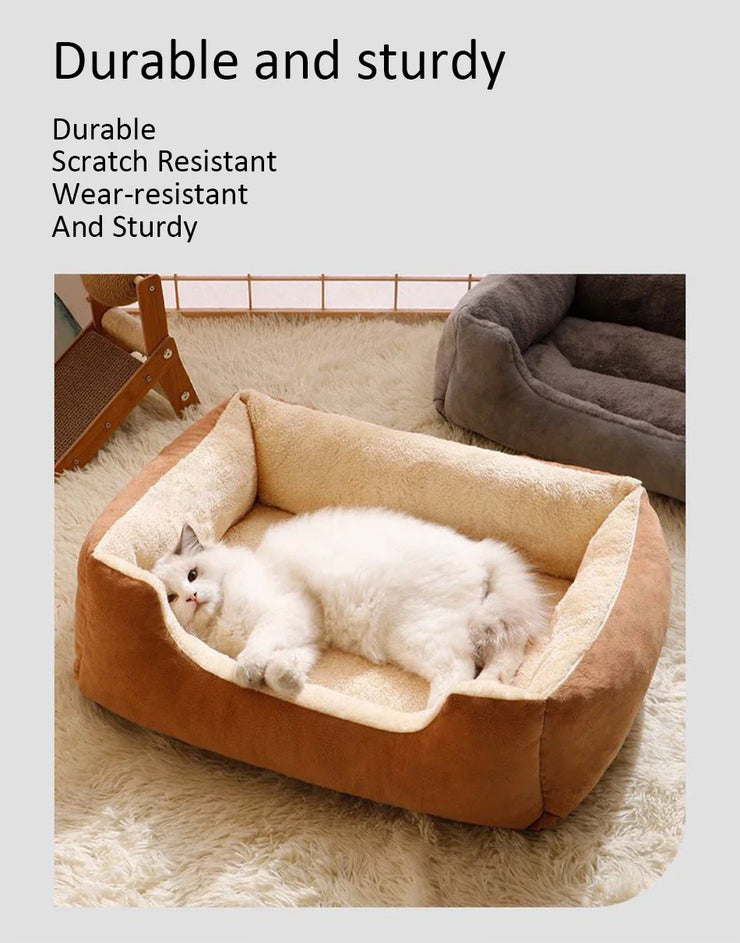 Cozy Pet Bed & Cushion – Cats, Kittens & Small Dogs