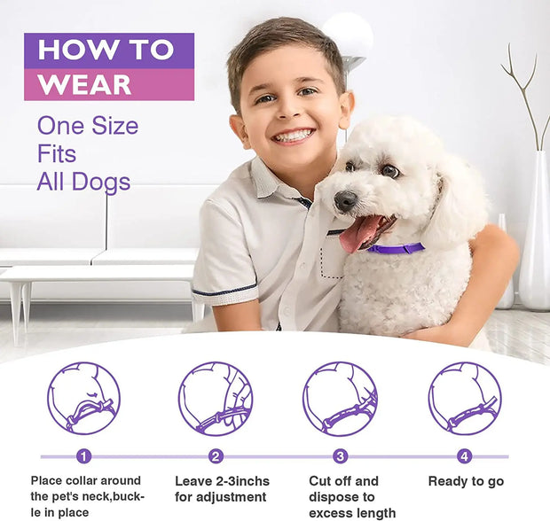 Adjustable Calming Pet Collar – Reduces Anxiety for Cats & Dogs