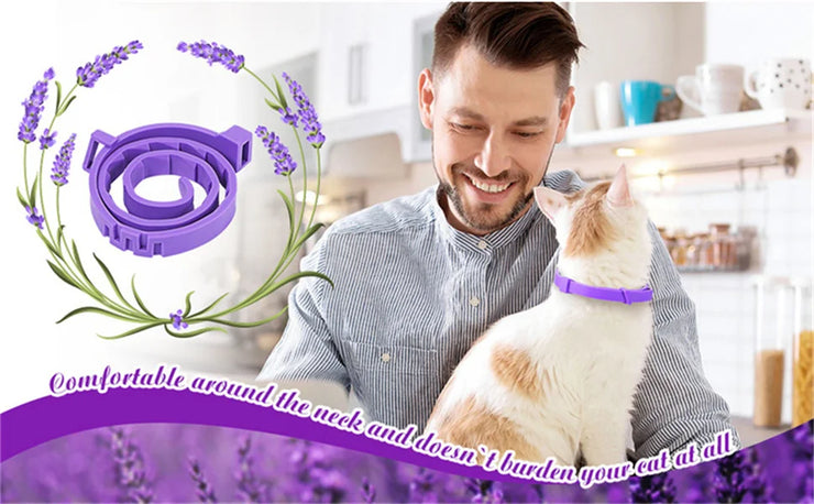 Adjustable Calming Pet Collar – Anxiety-Reducing for Cats & Dogs