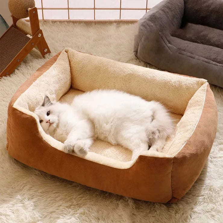 Cozy Pet Bed & Cushion – Cats, Kittens & Small Dogs