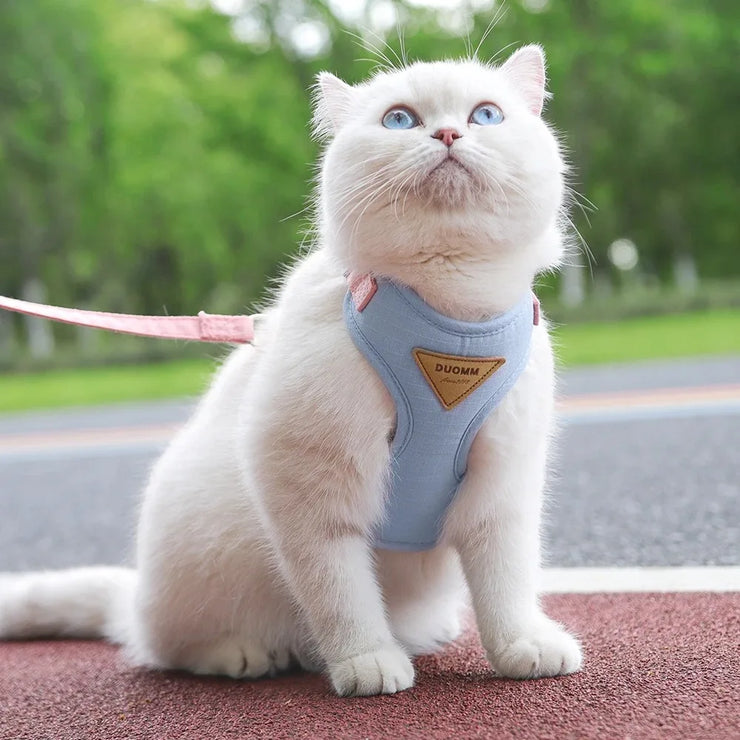 Pet Bow & Pearl Collar – Rhinestone Necklace for Cats & Small Dogs