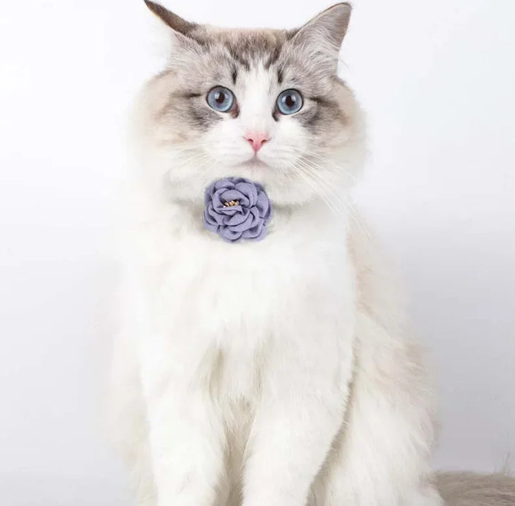 Cute Adjustable Cat & Puppy Collar – Bow Tie with Safety Button