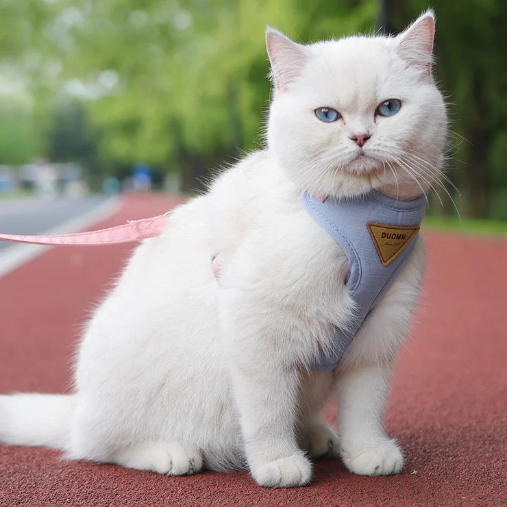 Pet Bow & Pearl Collar – Rhinestone Necklace for Cats & Small Dogs