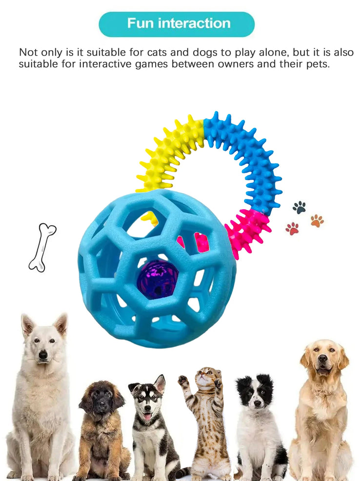 2-in-1 Dog Chew Toy Set – Bell Ball & Tri-Color Molar Ring