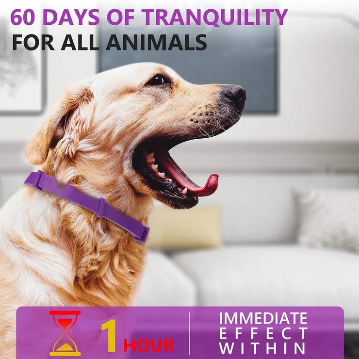 Adjustable Calming Pet Collar – Anxiety-Reducing for Cats & Dogs