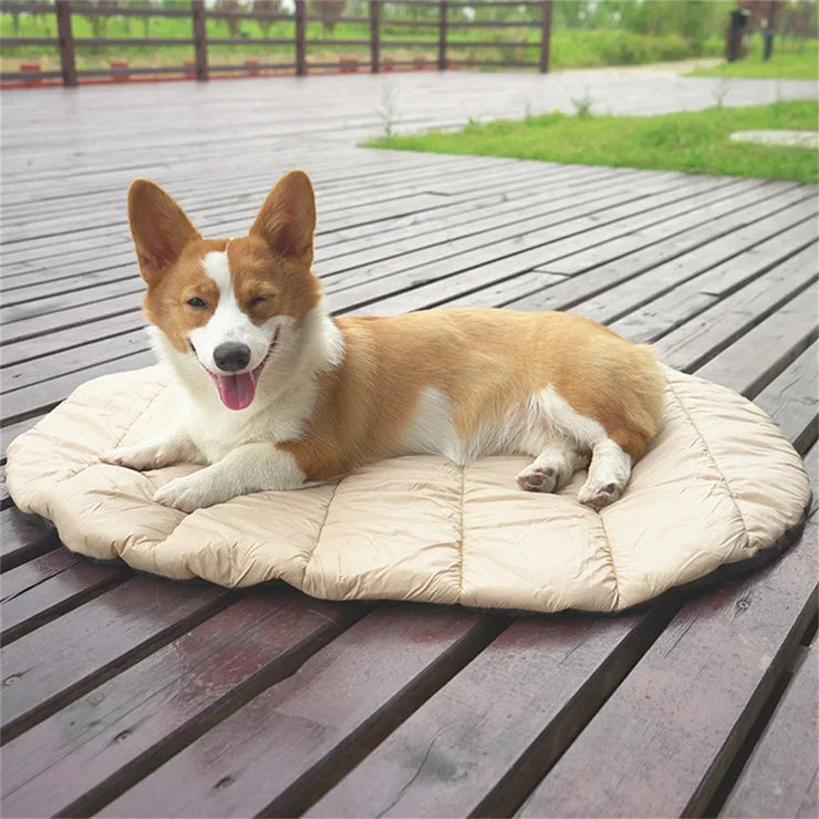 Summer Pet Bed – Cooling Mat & Sofa for Dogs & Cat
