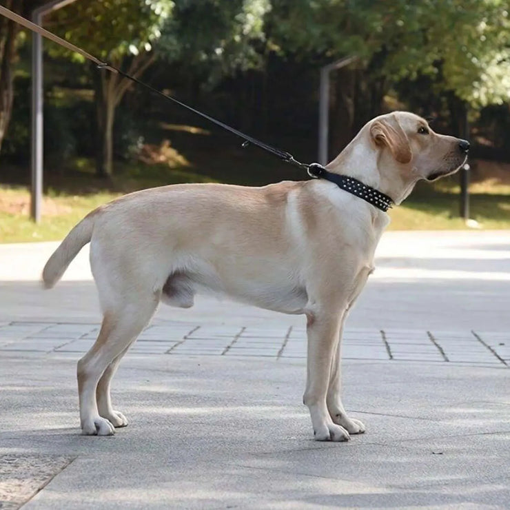 Adjustable PU Leather Dog Collar – Anti-Bite with Rust-Resistant Rivets