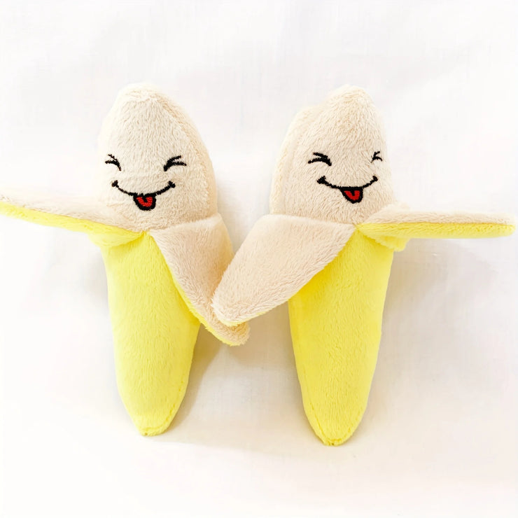 10-Pack Plush Puppy Chew Toys – Squeaky Fruit & Vegetable Set